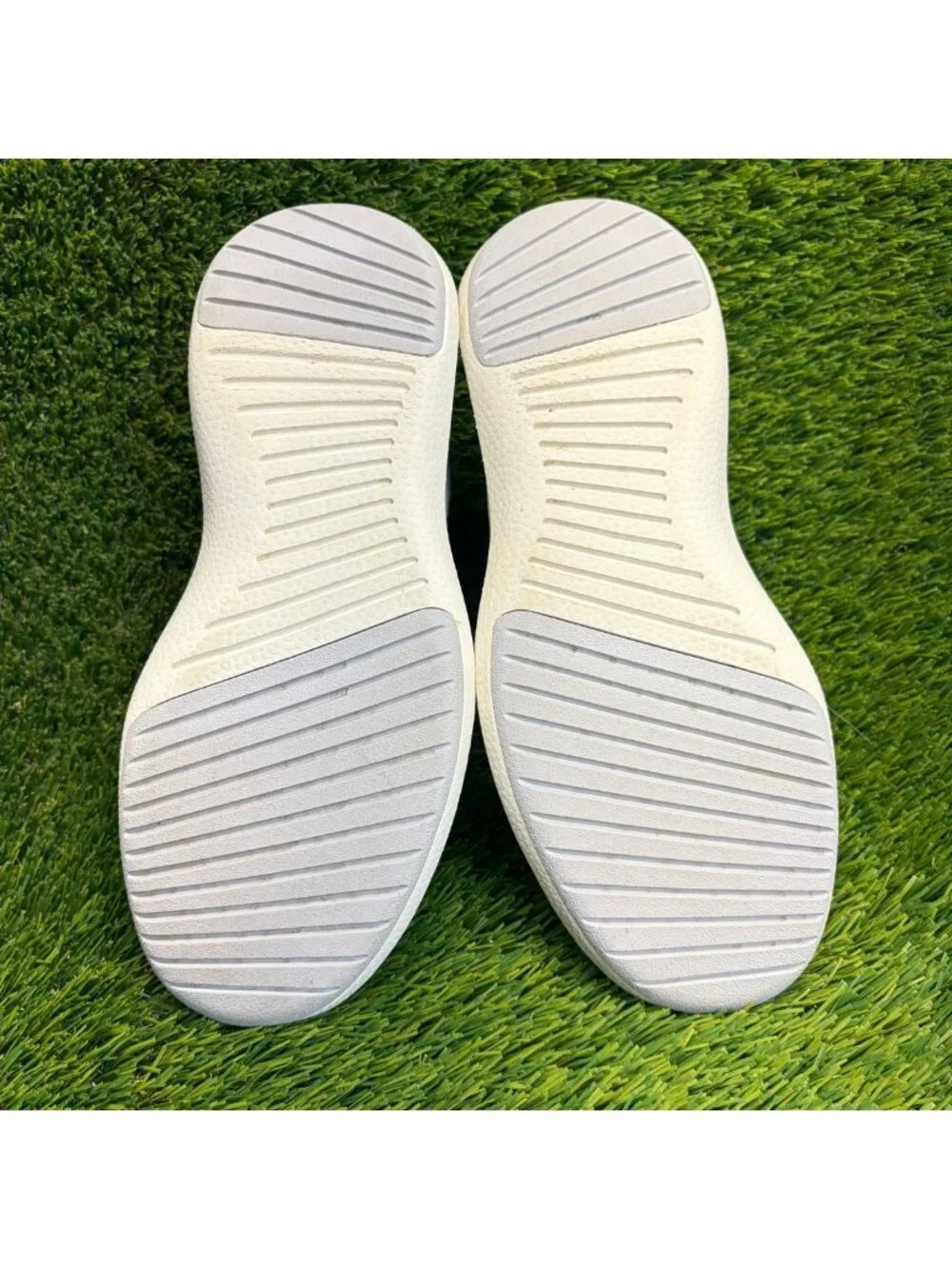 allbirds please review